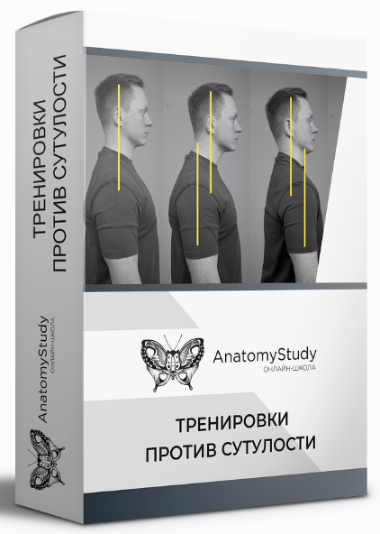 [Александр Семенов][AnatomyStudy] Тренировки проти_0.png